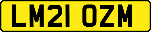 LM21OZM