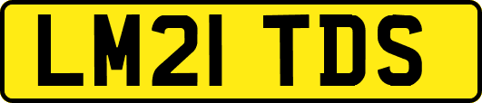 LM21TDS
