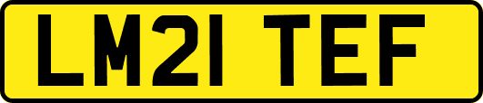 LM21TEF