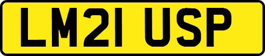 LM21USP