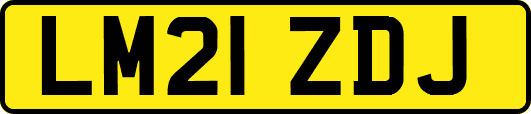 LM21ZDJ