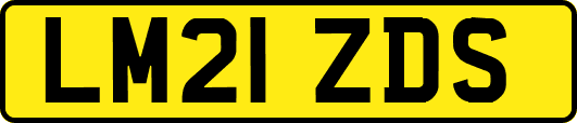 LM21ZDS