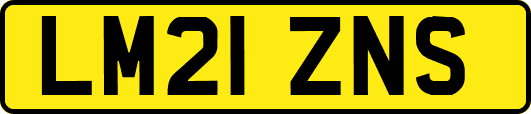 LM21ZNS