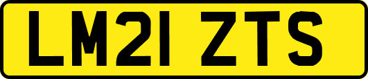 LM21ZTS