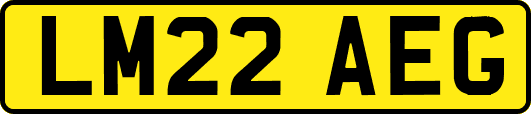 LM22AEG