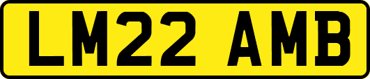 LM22AMB