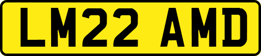 LM22AMD