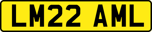 LM22AML