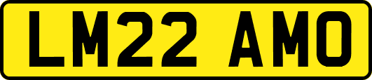 LM22AMO