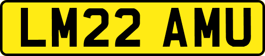 LM22AMU