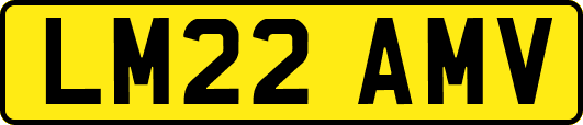 LM22AMV