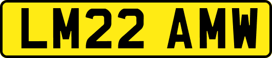 LM22AMW