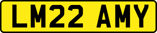 LM22AMY