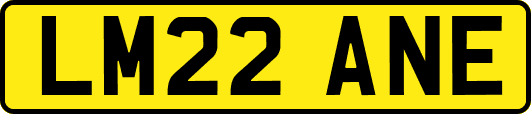 LM22ANE