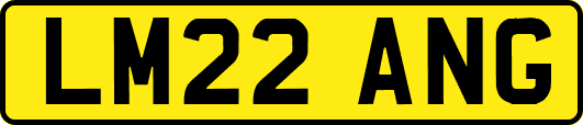 LM22ANG