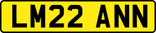 LM22ANN