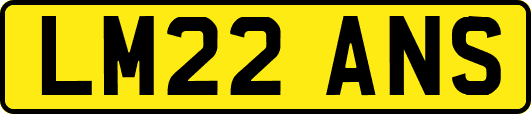 LM22ANS