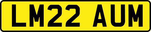 LM22AUM