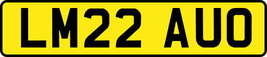 LM22AUO