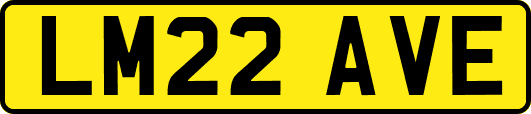 LM22AVE