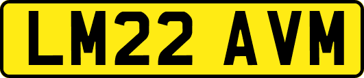 LM22AVM