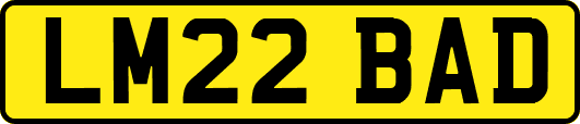LM22BAD