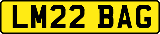 LM22BAG