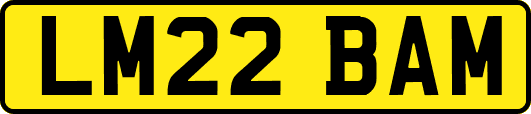 LM22BAM