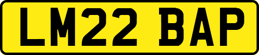 LM22BAP