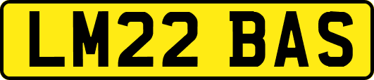 LM22BAS