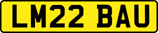 LM22BAU