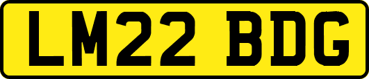 LM22BDG