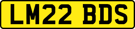 LM22BDS