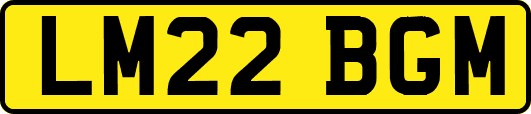 LM22BGM