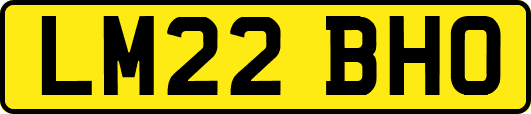 LM22BHO