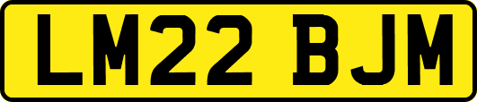 LM22BJM