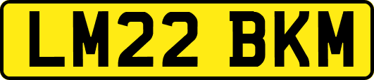 LM22BKM