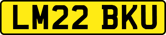 LM22BKU