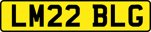 LM22BLG