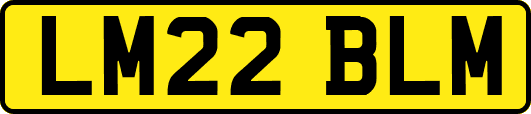 LM22BLM