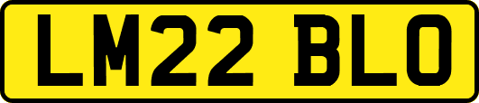 LM22BLO