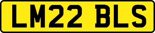 LM22BLS