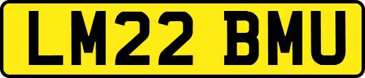 LM22BMU