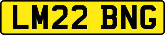 LM22BNG