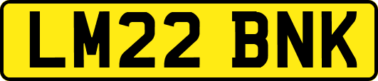 LM22BNK