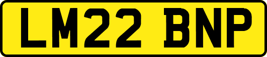 LM22BNP