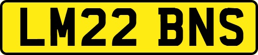 LM22BNS