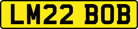 LM22BOB