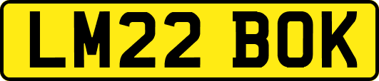 LM22BOK
