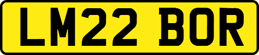 LM22BOR
